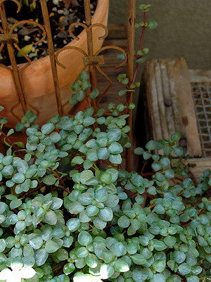 20080902_03
