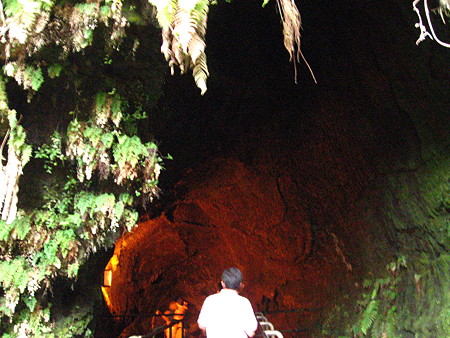 溶岩トンネル入り口