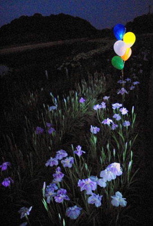 IMGP5656_0708