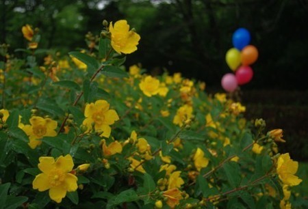 IMGP5759_0609