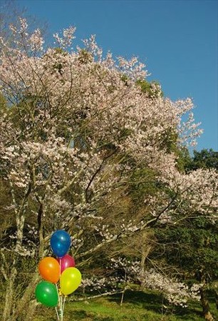 IMGP9649_0322
