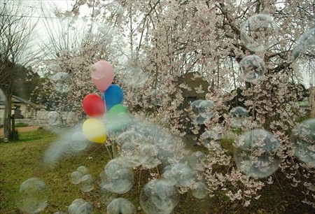 IMGP0810_0329