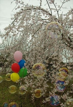 IMGP0854_0329