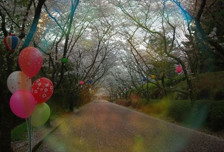 IMGP1512_0405