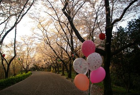 IMGP4165_0406