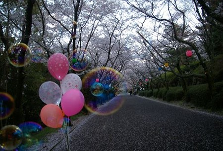 IMGP4276_0406