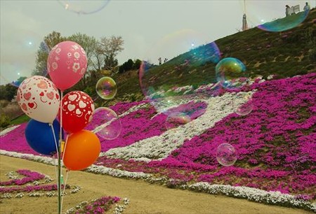 IMGP3150_0412