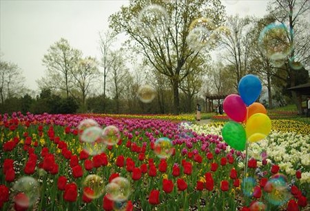 IMGP3754_0412