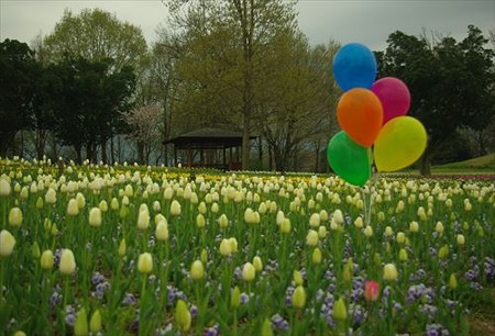 IMGP3760_0412