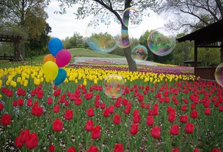 IMGP0377_0420