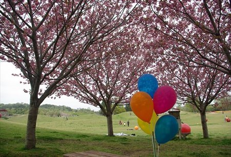 IMGP0249_0420
