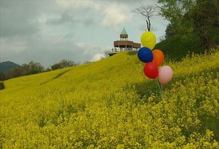 IMGP4005_0427