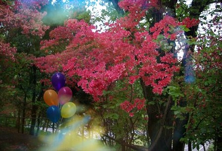 IMGP0115_0429