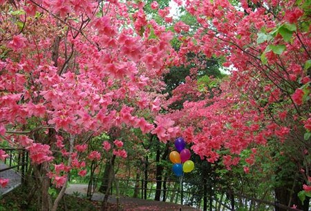 IMGP0124_0429