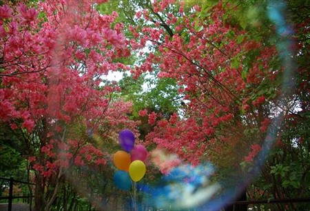 IMGP0320_0429