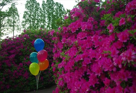 IMGP4745_0503