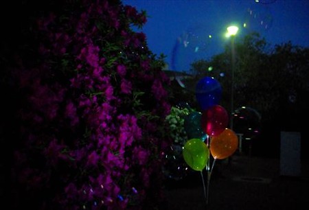 IMGP4906_0503
