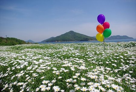 IMGP5008_0504