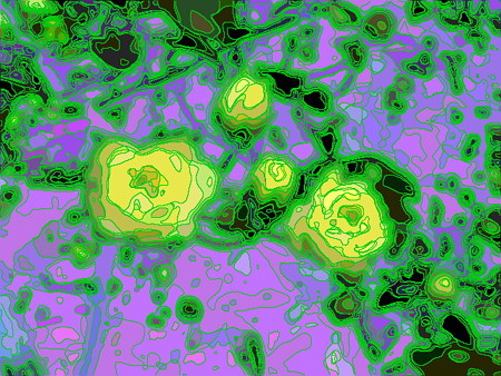 islands of flowers in ニライカナイ-01