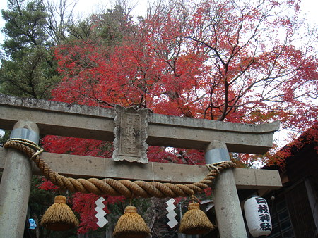 日枝神社の紅葉@修善寺