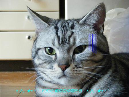 DSCF2764_pa