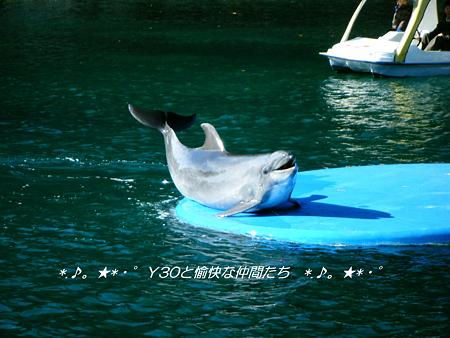 DSCF2396_pa