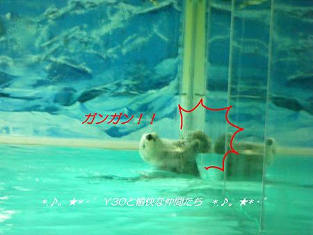 DSCF2415_pa01