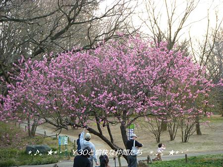 DSCF2752_pa