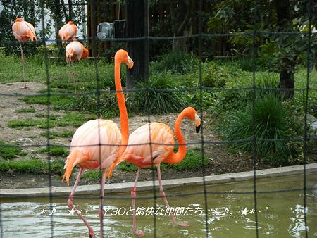 DSCF2844_pa