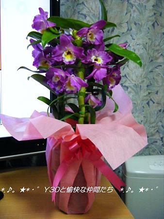 DSCF8384_pa