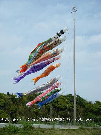 DSCF8380_pa