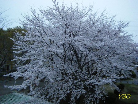 DSCF6456_P
