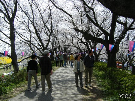 DSCF6532_P