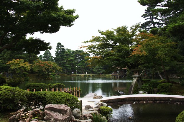 秋の兼六園 霞が池 徽軫灯籠 ことじとうろう 虹橋 鷺 写真共有サイト フォト蔵