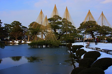 兼六園雪つり