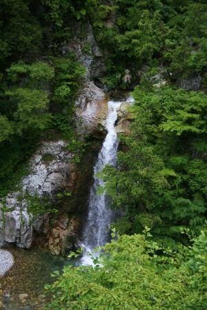 岩底の滝　白山スーパー林道