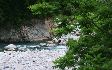 川　白山スーパー林道