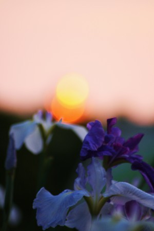 不思議な夕日