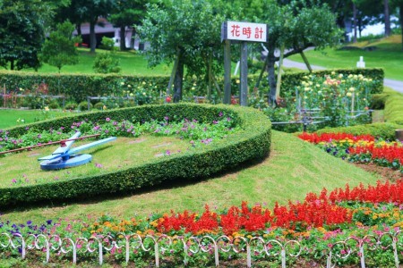 花時計 （県民公園）