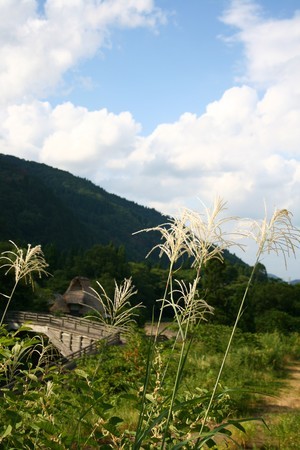 白峰村の風景