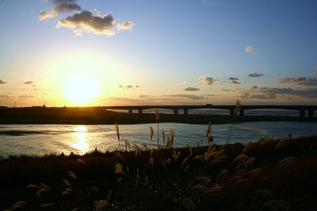 夕日と手取川(2)　ススキ