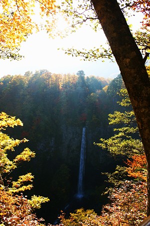 白水の滝(1)　岐阜県白川村