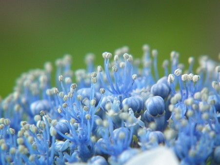 DSCF0271