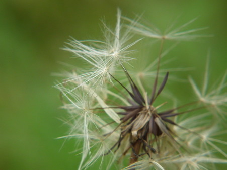 DSCF0070
