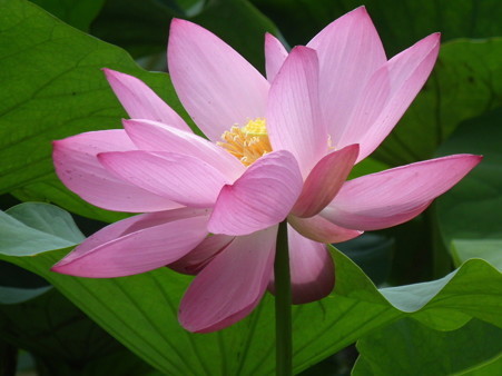 DSCF0022