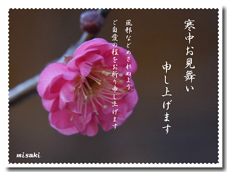寒中8