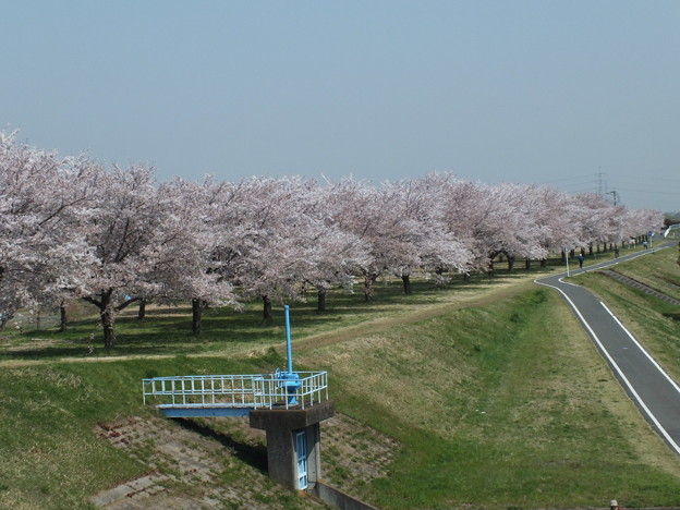 DSCF0010