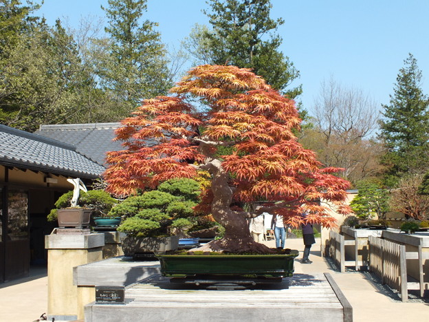 DSCF0580