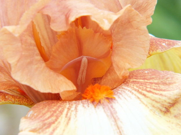 DSCF0235