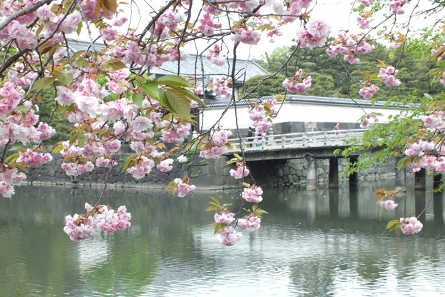 DSCF0245